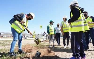 Realiza Gobierno de Ensenada jornada de reforestación en el ITE del TecNIM