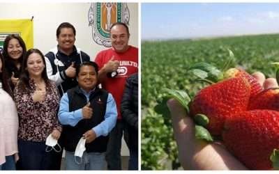 Buscan Secretaría del Campo y UABC fortalecer sector agropecuario de San Quintín