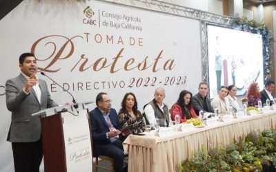 Clave sector agrícola en fortalecimiento del desarrollo económico de BC: Ayala Robles