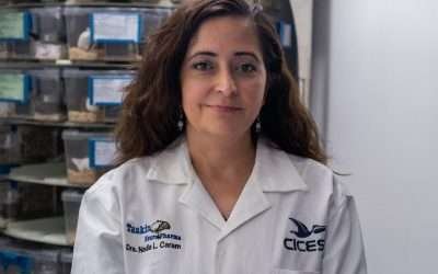Busca CICESE nuevos fármacos contra el dolor crónico