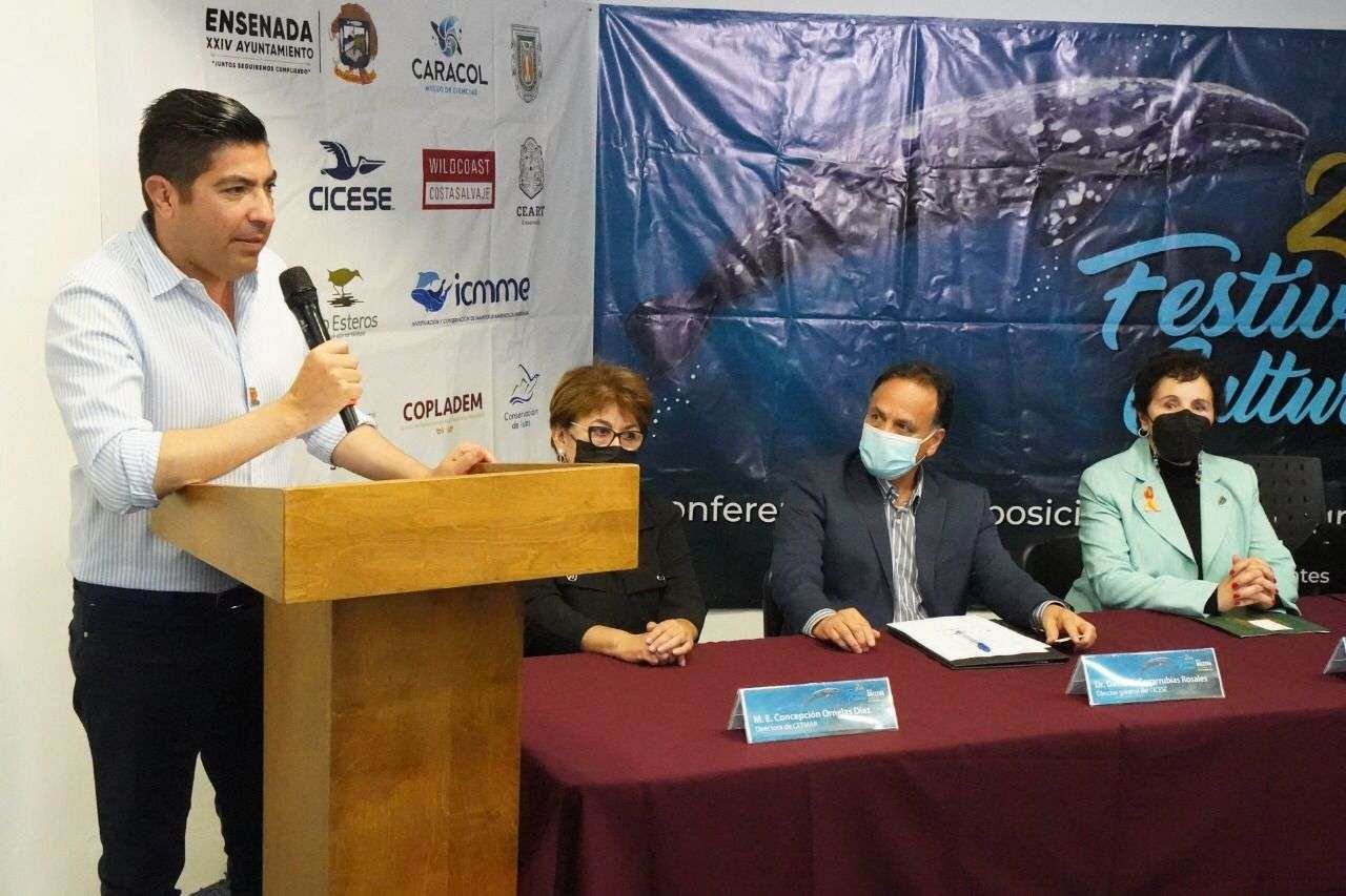 Armando Ayala