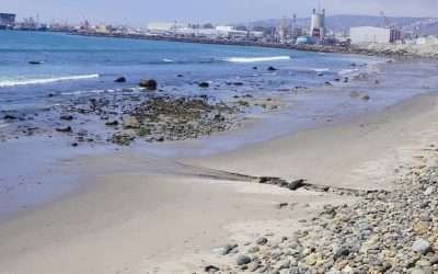 Atiende alcalde denuncias de contaminación y falta de acceso a playa Stacks