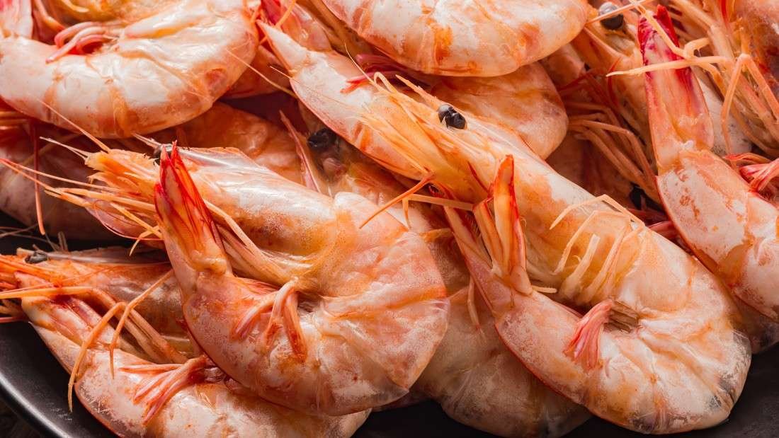 camarones