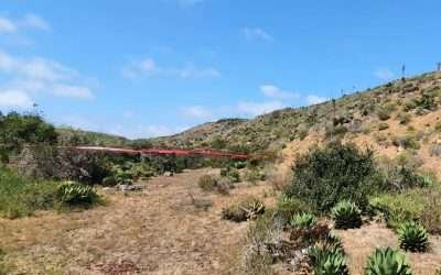 Localiza FGE fosa y restos óseos en Punta Colonet