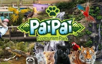 Preserva Parque Ecoturístico PAI-PAI 60 especies en peligro de extinción
