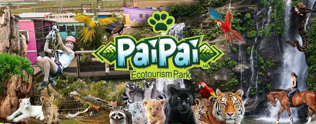 pai pai