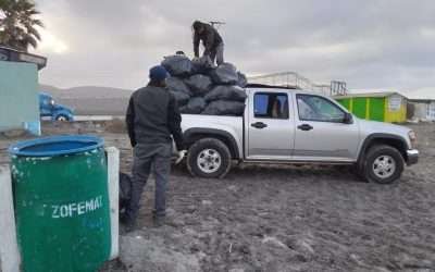 Recoge ZOFEMAT casi 29 toneladas de basura acumulada en playas de Ensenada