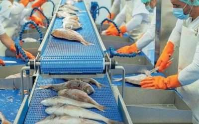 Establecen agenda para impulsar desarrollo económico para sector pesquero y acuícola