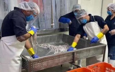 Inició Cofepris nuevo modelo de certificación de plantas de pesca