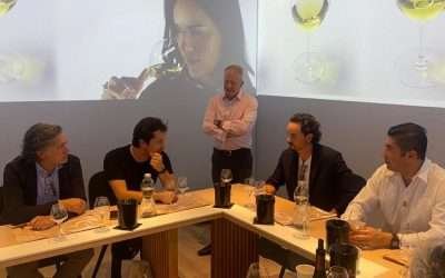 Buscan productores vitivinícolas de BC, generar alianzas con Dijon, Francia