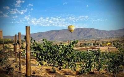 Exponen fotografías del Valle de Guadalupe