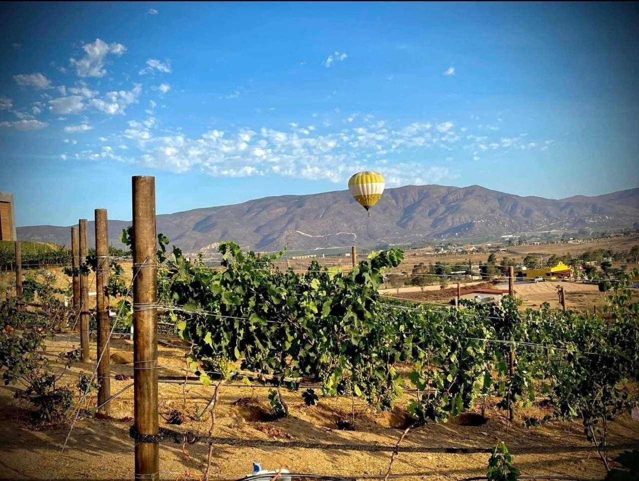 Valle de Guadalupe