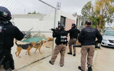 Logra FGR vinculación a proceso para dos traficantes de personas