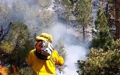 Inicia temporada de incendios forestales 2022 en Baja California