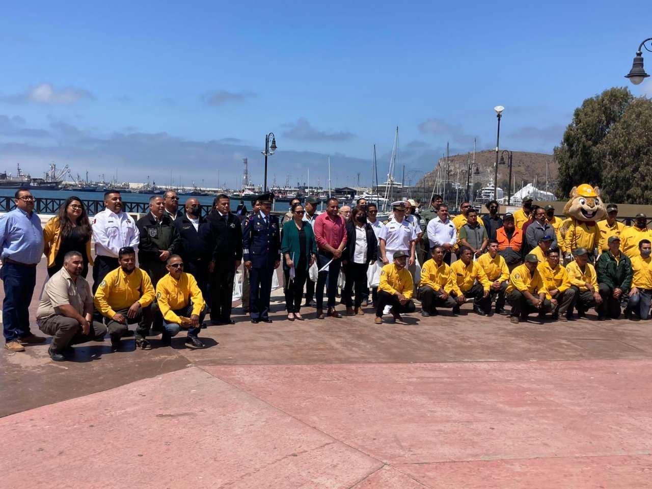 incendios forestales