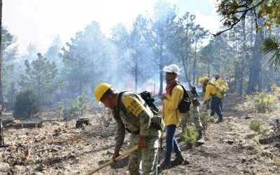 Serán julio y agosto los más críticos por incendios forestales en BC