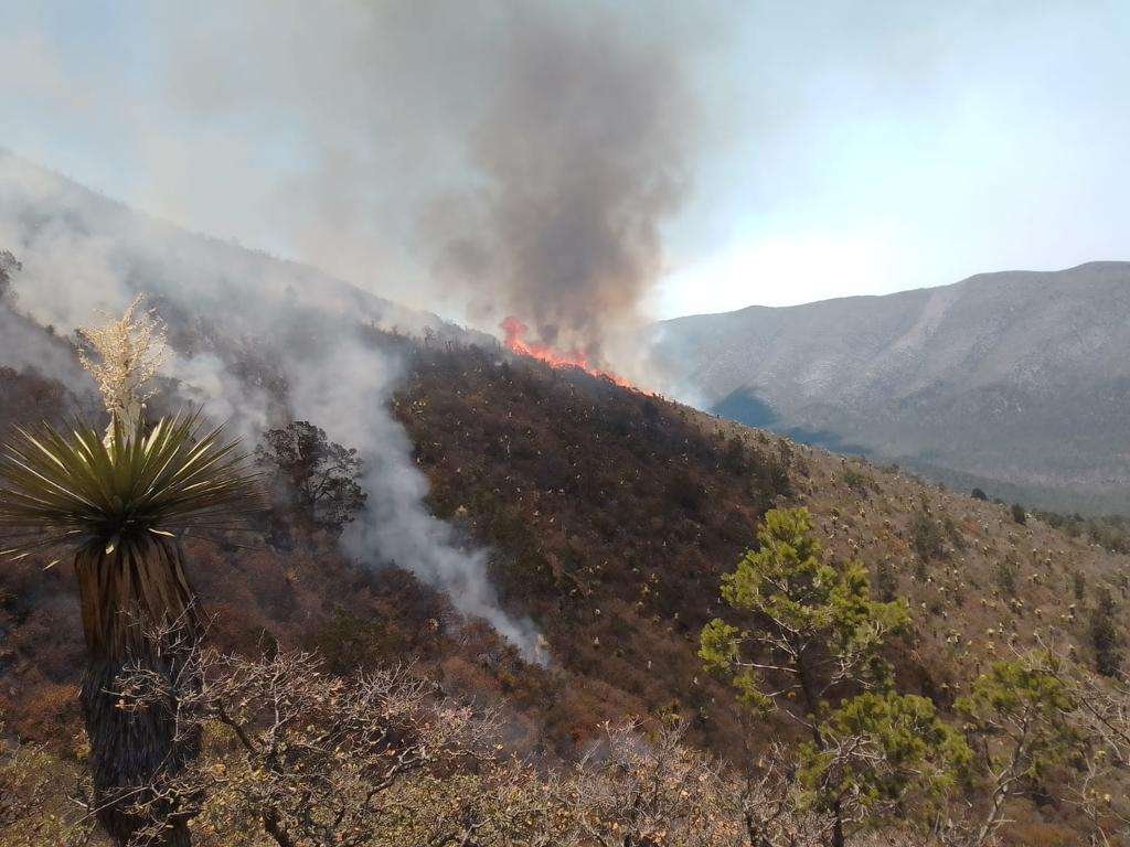 incendios forestales