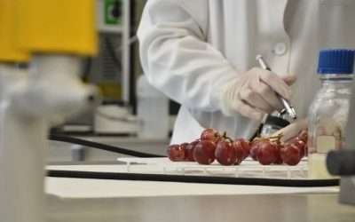 Inicia laboratorio del CEVIT actividades de análisis