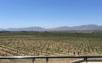 Ningún lugar del Valle tiene autorización para eventos masivos: Secretaría de Medio Ambiente