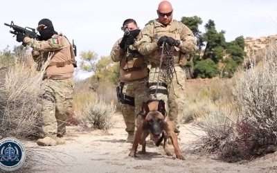 Unidad K9 de FGE es reconocida a nivel nacional