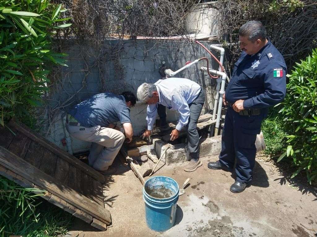 clausura fosa ecología