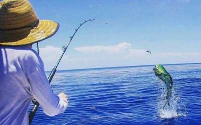 Aporta San Felipe el 37% de la producción pesquera y acuícola de BC