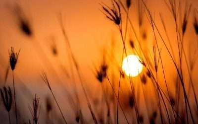 No habrá cambios al horario de verano de Baja California