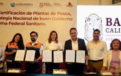 Sector pesquero es pieza clave en desarrollo de Ensenada: Armando Ayala