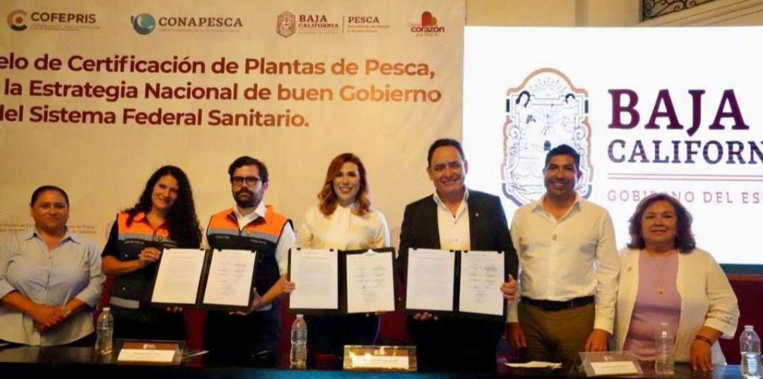 Armando Ayala Robles