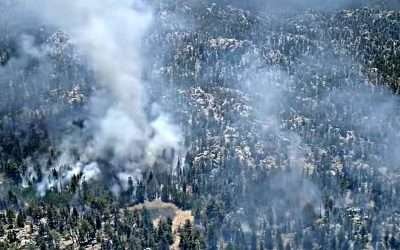 Incendio consume más de 25 hectáreas en Sierra de San Pedro Mártir