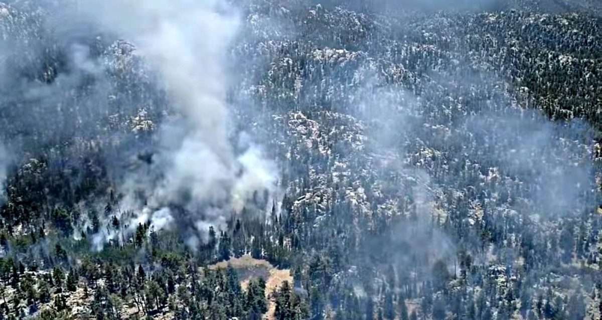 Incendio san pedro mártir