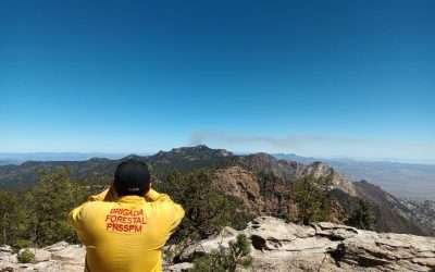 Avanza contención de incendio en Parque Nacional Sierra de San Pedro Mártir