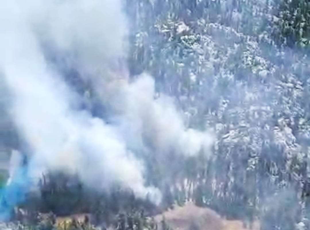 incendio sierra san pedro mártir