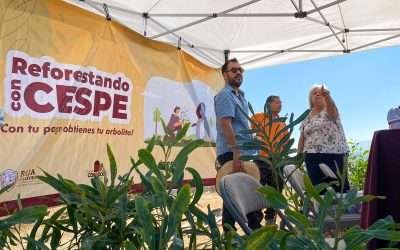 Realiza CESPE jornada de reforestación