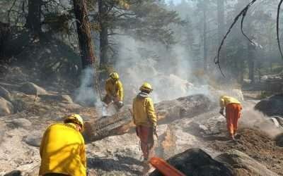 Van 80 hectáreas consumidas por incendio en Parque Nacional de San Pedro Mártir