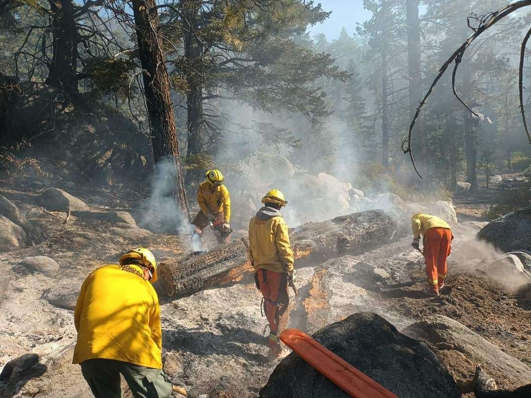 Incendio san pedro mártir