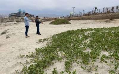 Verifican Ecología Municipal y Pro Esteros estado actual de dunas en Playa Hermosa