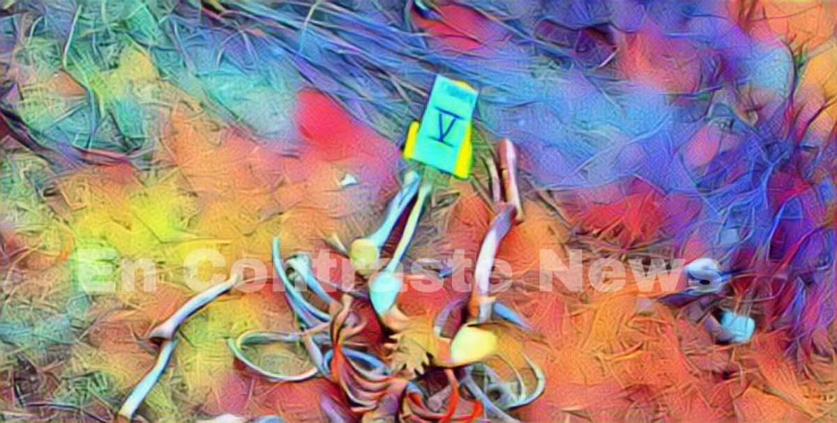 restos humanos punta colonet