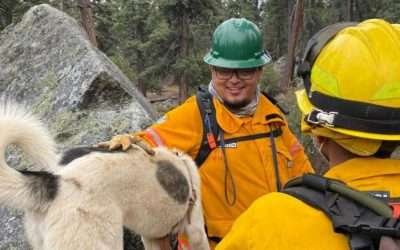 Recibe Felipe León, Premio Internacional de Guardaparques