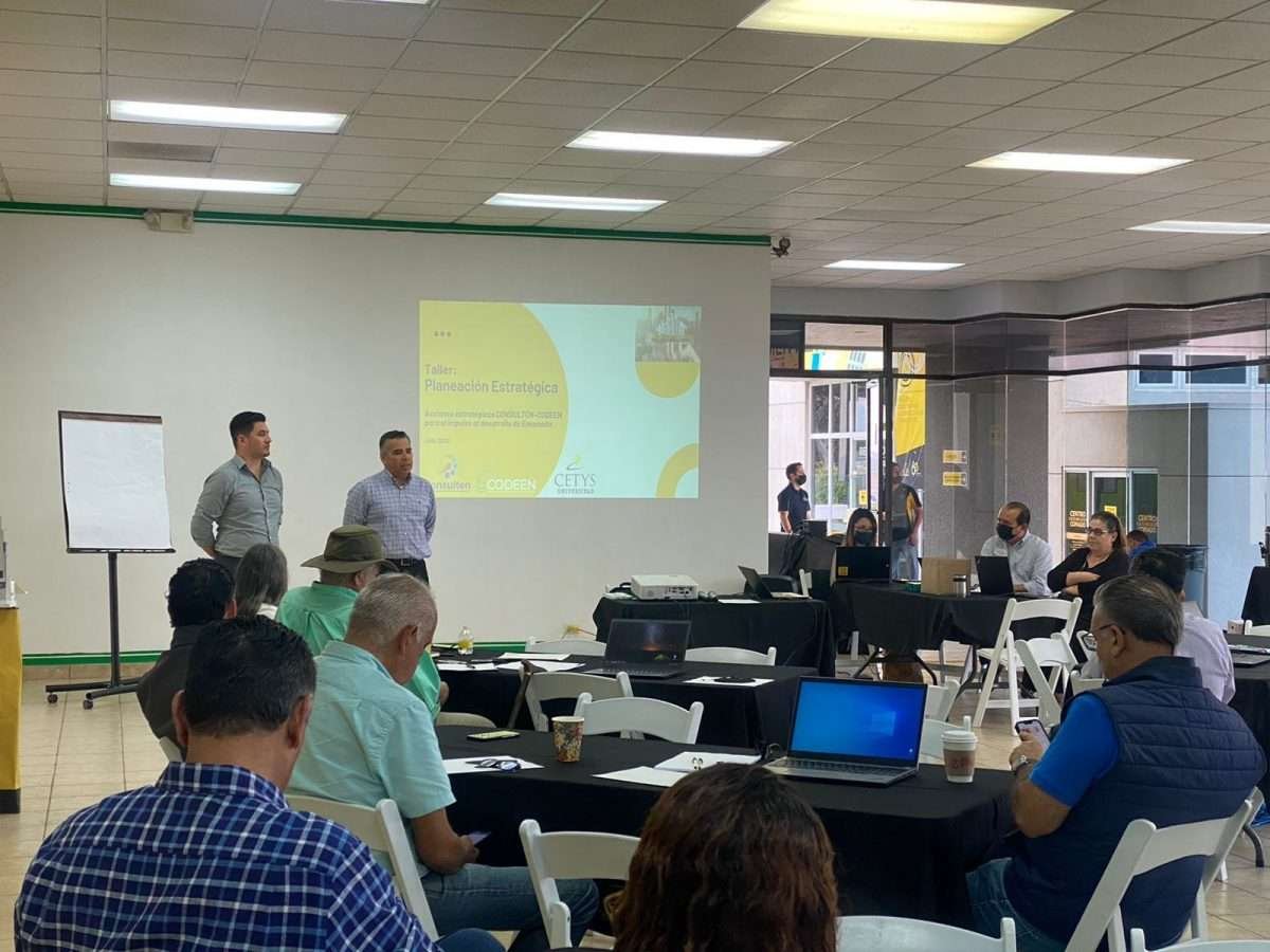 tiple hélice economía