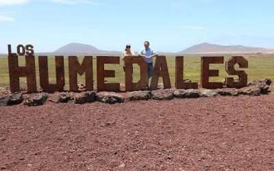 Fortalecerán áreas naturales de San Quintín