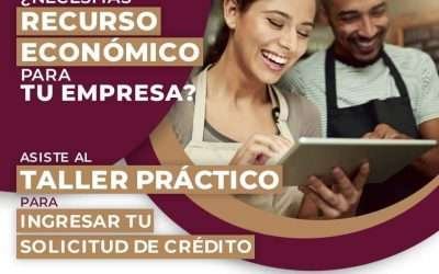 ¿Necesitas recursos económicos para tu empresa?