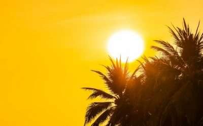 Prevé Protección Civil clima cálido para 1era semana de agosto