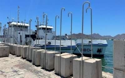 Implementarán bloqueo submarino en zona de protección de la Vaquita Marina