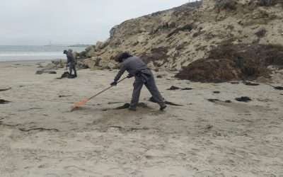 Dejan en playas 1.5 toneladas diarias de basura