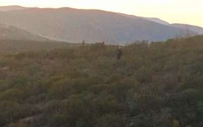 Localizan a niña extraviada en San Antonio de las Minas