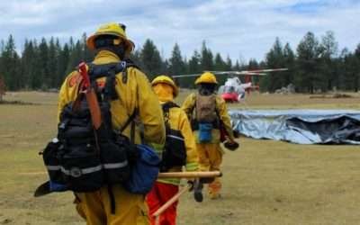 Sofocado al 100% incendio que duró un mes en San Pedro Mártir