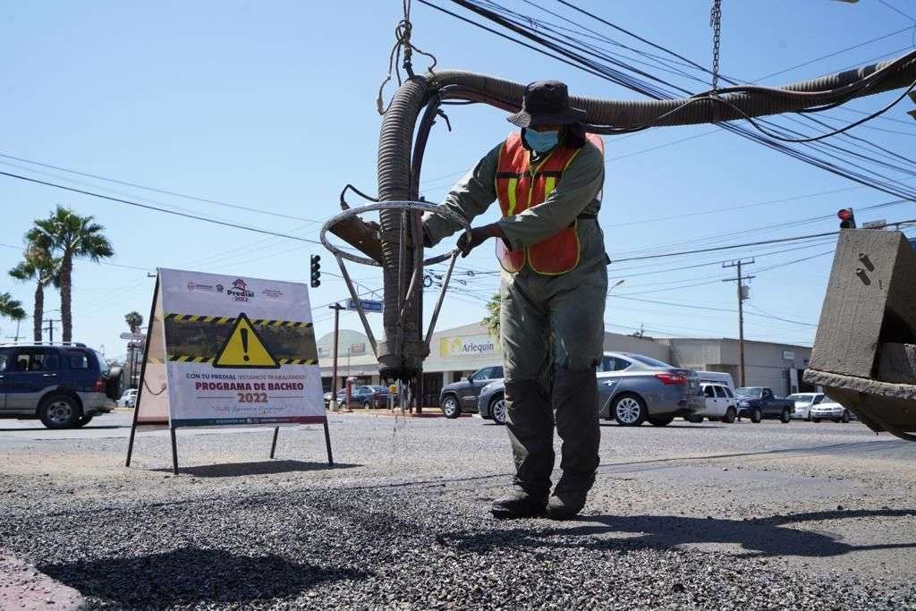 Armando Ayala Robles