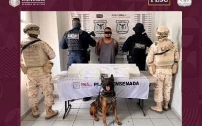 Capturó Fuerza Estatal a sujeto con 4 armas de fuego en Valle de Guadalupe