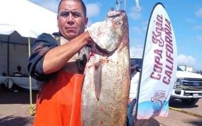 Gana curvina de 36.8 libras el torneo de la copa «Baja California» en San Quintín